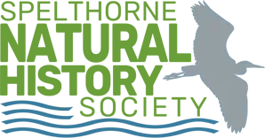 Spelthorne Natural History Society